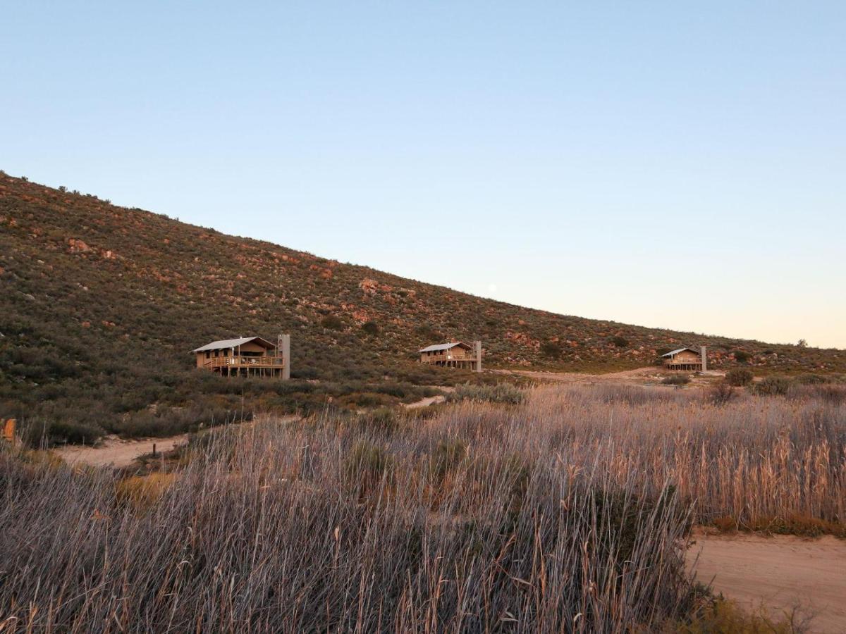 Villa Africamps At Karoo 1 à De Doorns Extérieur photo