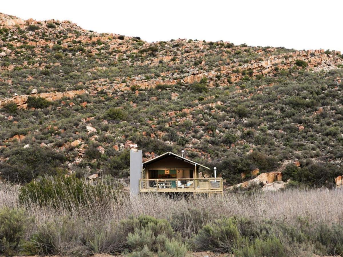 Villa Africamps At Karoo 1 à De Doorns Extérieur photo