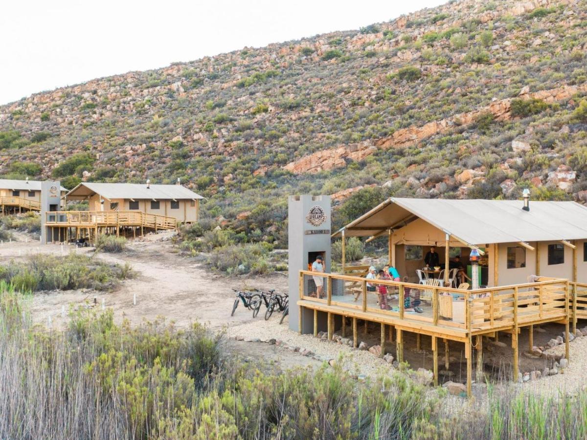 Villa Africamps At Karoo 1 à De Doorns Extérieur photo